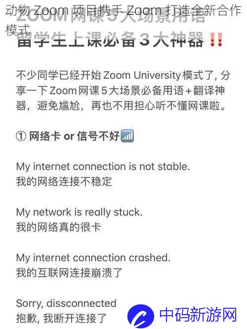 动物 Zoom 项目携手 Zoom 打造全新合作模式