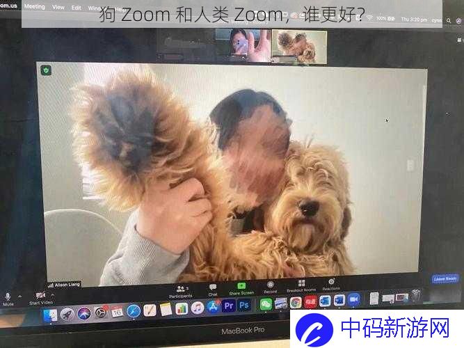 狗 Zoom 和人类 Zoom，谁更好？