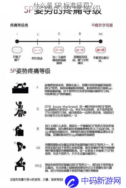 什么是 SP 标准惩罚？