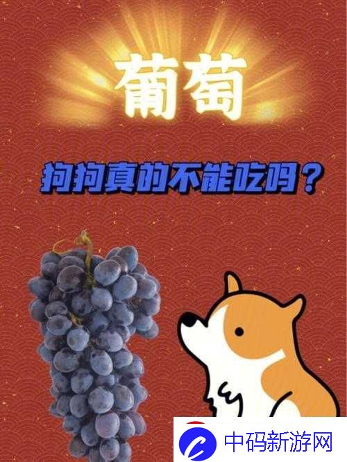 葡萄不准掉出且晚上检查