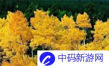 老师你怎么会在这第2季出现：校园生活中的师生关系