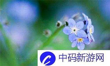 二人世界拔萝卜：如何在合作中实现挑战与乐趣