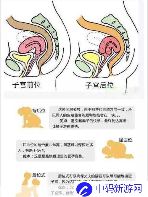 后位式是怎样的图片：解析与探讨