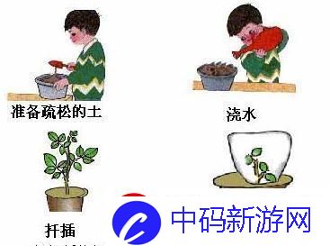 72插秧秘法图鉴：游戏界的奇观惊现！