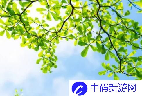 老牛影视文化传媒有限公司官方：创意绽放，引领影视新潮流