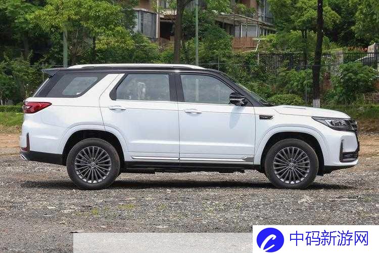 国产 SUV  精品一区二区 6：极致驾乘体验之选