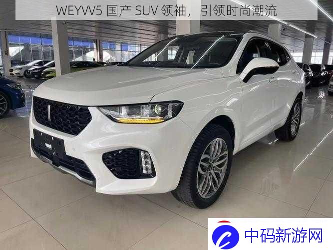 WEYVV5-国产-SUV-领袖-引领时尚潮流