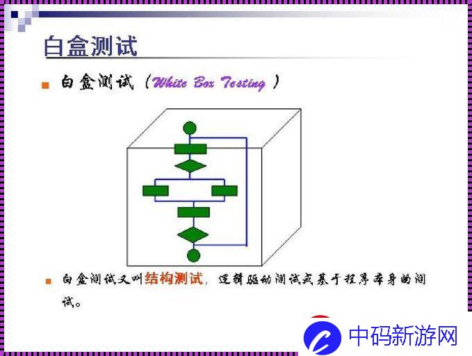 白盒测试：戏谑的艺术-揭秘背后的疯狂逻辑