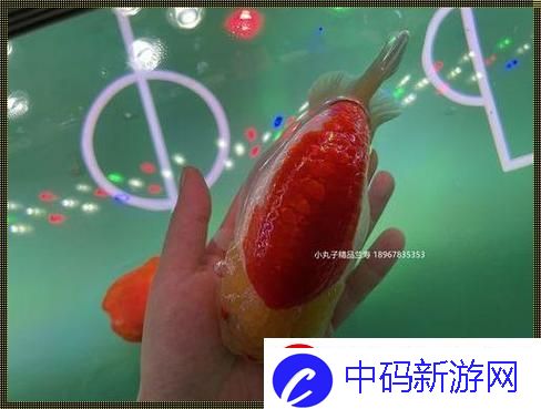 “嘿-‘肉食家庭’的樱花食典-妙不可言！”