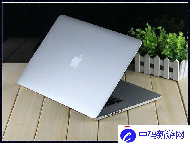 青春限定版MacBook-Pro-外观设计成网民新宠