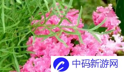 精准灌溉系统y液收集系统智能升级：节水高效-作物生长更健康！