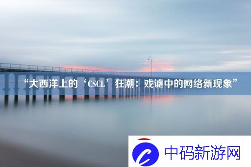 “大西洋上的‘CSCL’狂潮：戏谑中的网络新现象”