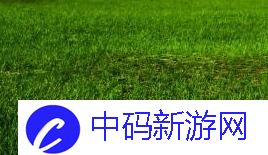 老公看我和别人发的关系会如何影响我们的感情与信任