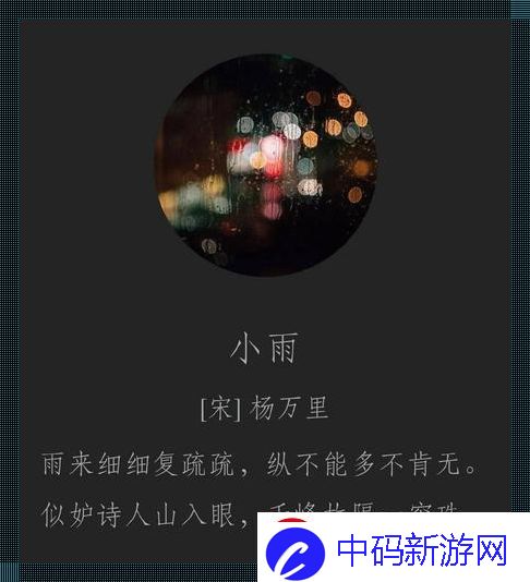 雨泣诗心-潮玩新韵——揭秘下雨天po林念江淮词枝的另类魅力