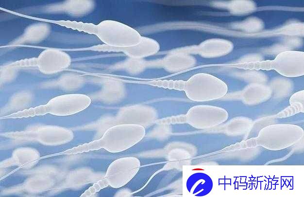 系统需收集精子升级：打造强大系统