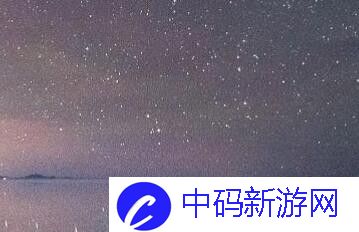 揭秘chinese浪小辉东北打桩机：独特性能特点，助力高效施工