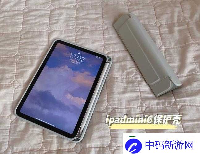 秘密入口MINI6的安全保护：为何成为网络焦点