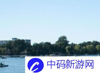 谐音旋风来袭：17c.cv-访问安全-全球炸裂的热点话题