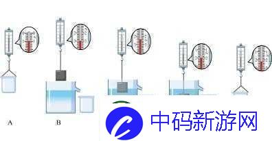 B大与小的好处：探究其深层意义