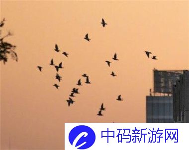 游戏中水蜜桃8844体验评测：甜蜜来袭，趣味无限