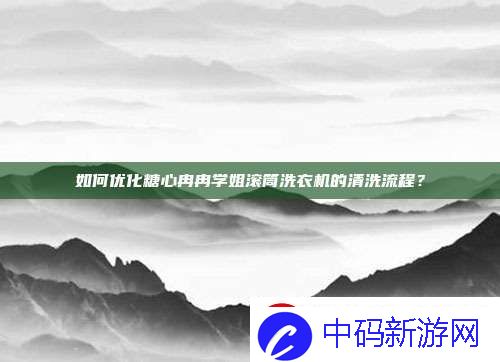 如何优化糖心冉冉学姐滚筒洗衣机的清洗流程