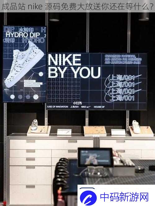 成品站nike源码免费大放送你还在等什么