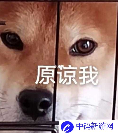 啊哈哈哈哈主人我错了哈哈哈哈柯：搞笑认错瞬间