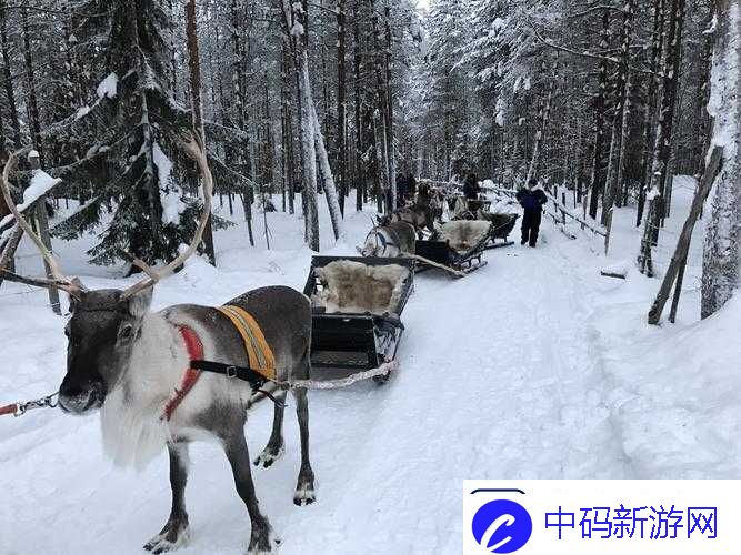 寻找冰原守卫者拉雪橇的麋鹿：它们的踪迹与生存环境