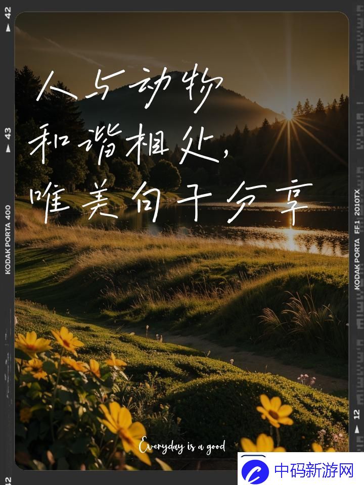 喵星人汪星人