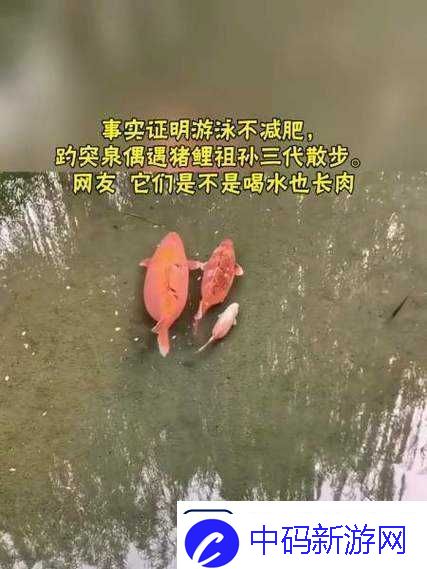 女人鲤鱼喝水图解大全之详细解析