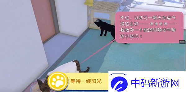 小猫咪大城市等待一缕阳光任务攻略