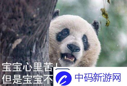 网络用语宝宝心里苦但宝宝不说是什么梗