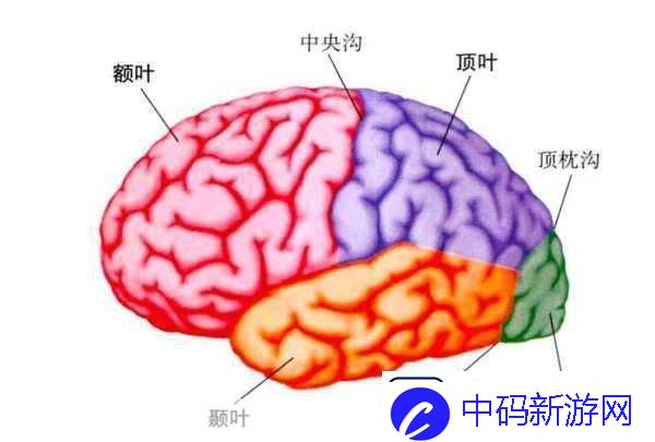 分裂之门2震撼来袭-三大派系能力全揭秘！