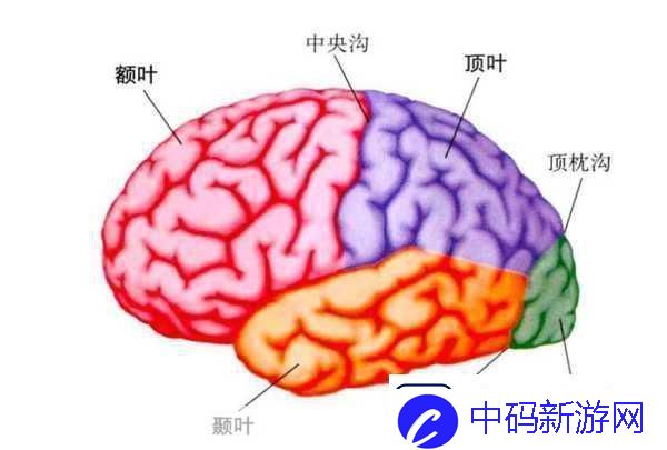 分裂之门2震撼来袭-三大派系能力全揭秘！