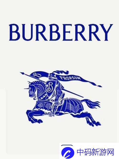 BURBERRY中文免费版：时尚新体验