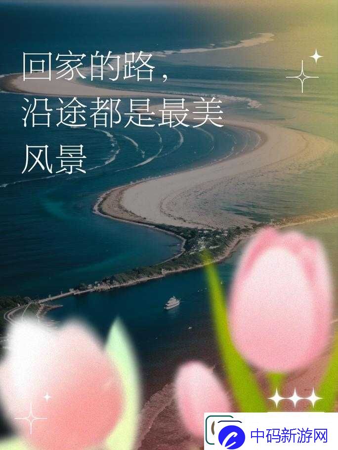 海角社区回家的路：踏上温暖归家之旅