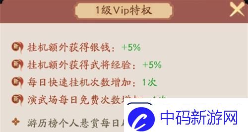 霸王天下VIP价格表