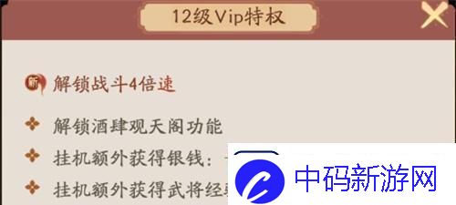 霸王天下VIP价格表