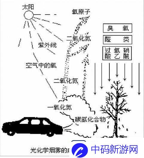 亭亭玉立与天香综合症的关系探究及二者对人体的影响分析