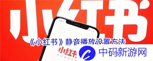 小红书怎么静音播放视频