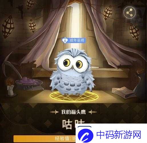 哈利波特魔法觉醒