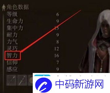 艾尔登法环200级法师加点攻略