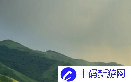 爱情岛1号线和2号线测速怎么样?网络优化技巧提升使用体验