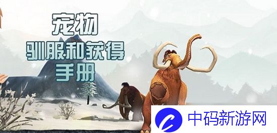 创造与魔法怎么抓宠物